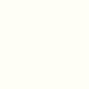 <h5>White Gloss</h5>